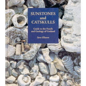 Sunstones and Catskulls