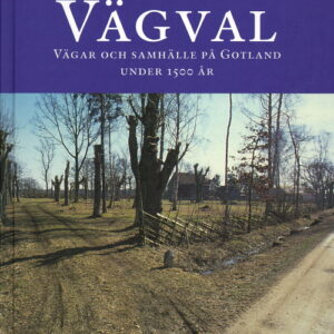 Vägval